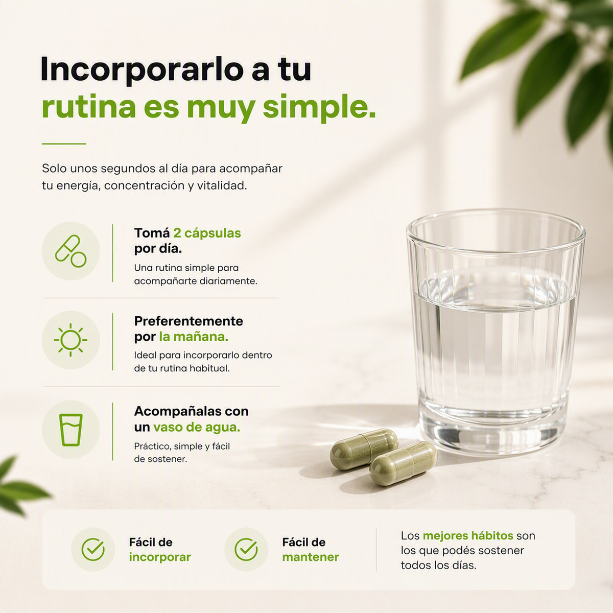 VilFit - Aumenta la energía y la vitalidad: